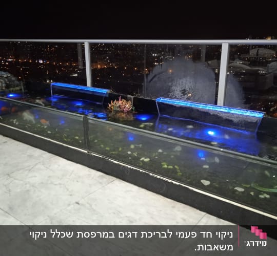 בריכת דגים עם תאורה וצמחי מים